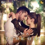 DJ Raj Songs MP3 Download